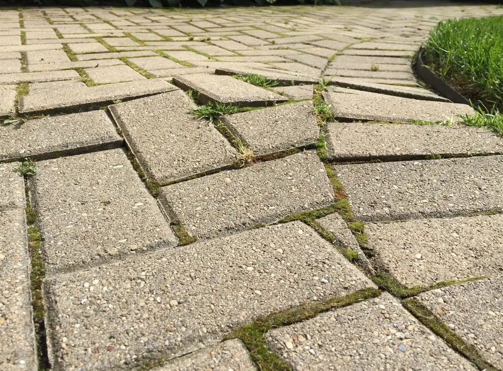 Affordable yard maintenance near you across Glenview, IL - Lawncare Plus