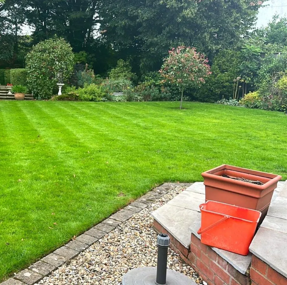 Trusted yard maintenance in Corpus Christi, TX - Lawncare Pros