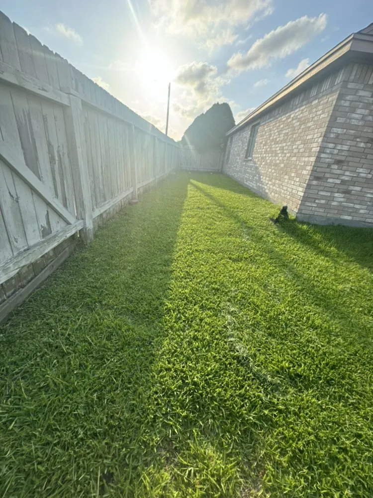 Top-rated landscaping services in Corpus Christi, TX - Lawncare Pros