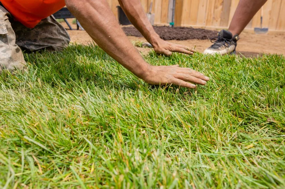 Custom lawn mowing service in Salem, VA - Lawncare Solutions