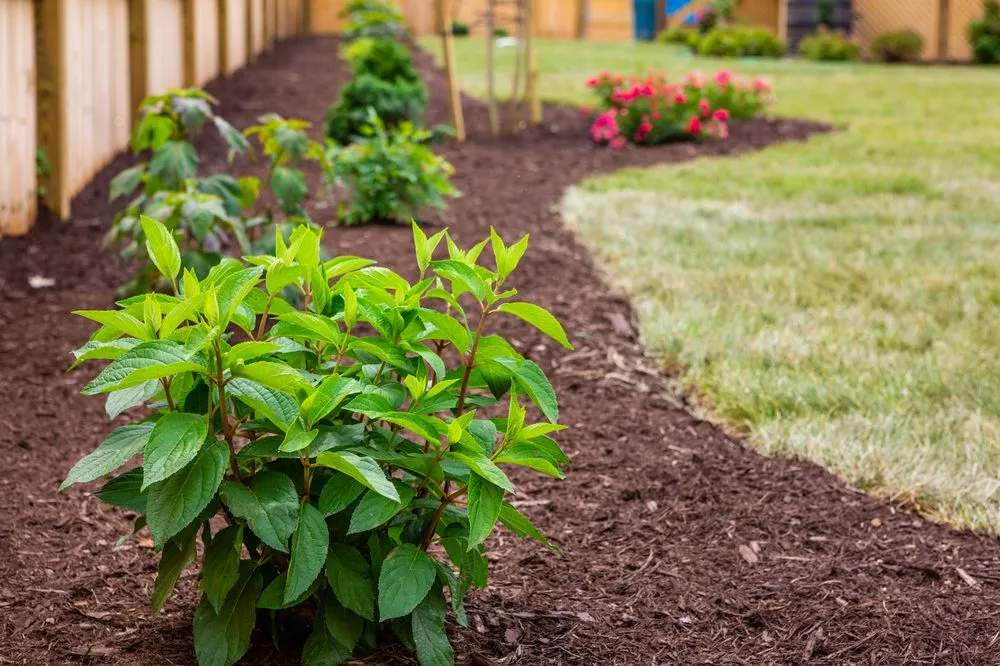 Reliable yard maintenance near you across Salem, VA - Lawncare Solutions