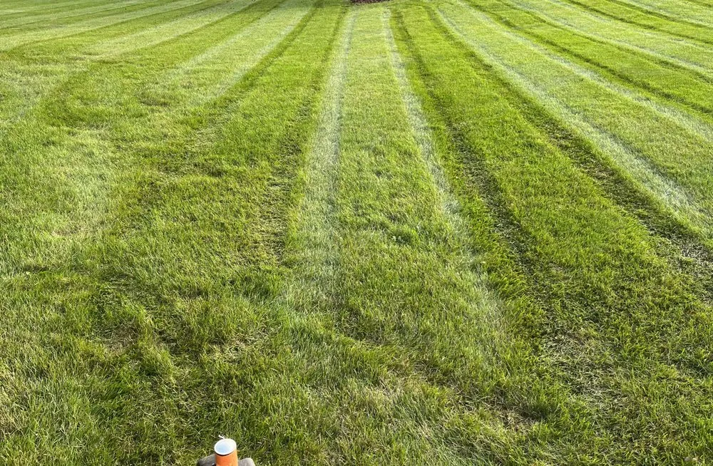 Professional lawn care service in Williamsport, PA - Lawncare Specialists Mowing