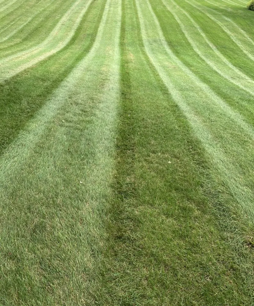Local yard maintenance with custom design in Williamsport, PA by Lawncare Specialists Mowing
