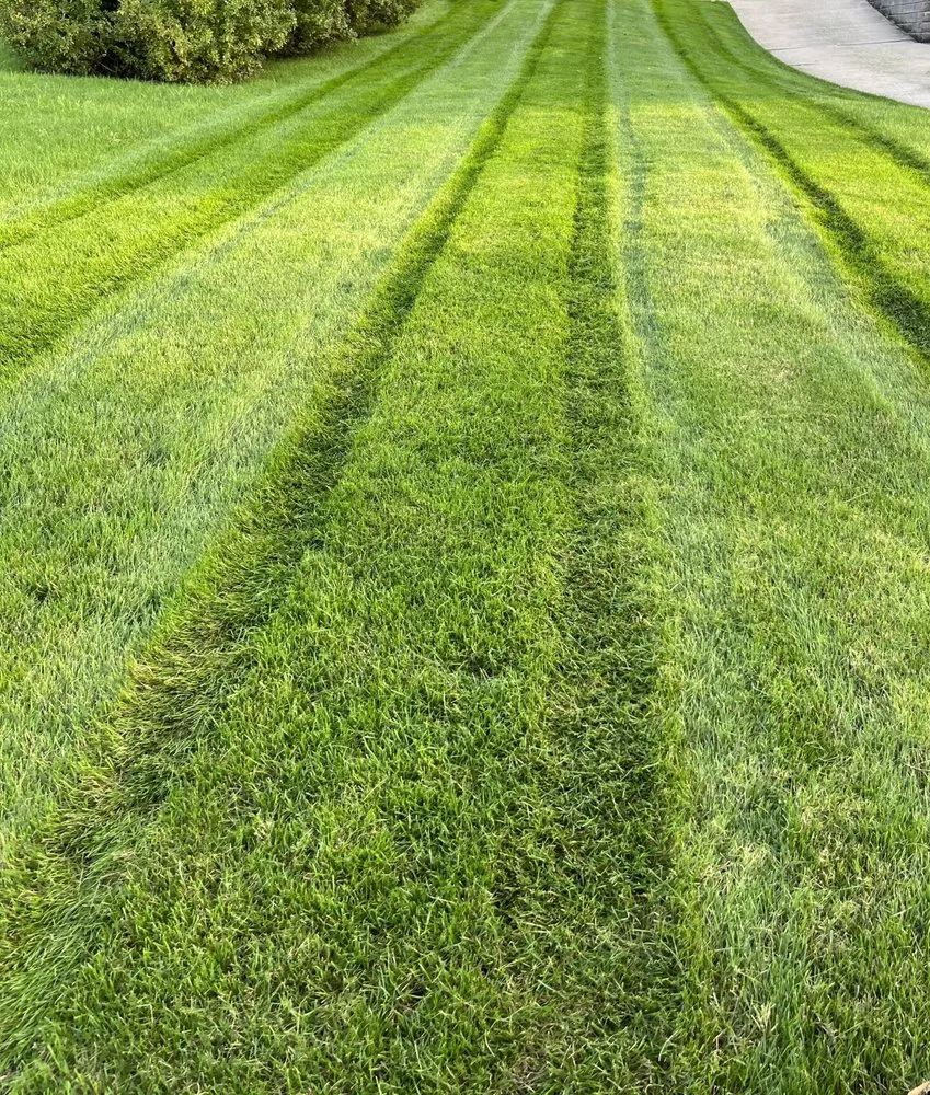Professional landscape installation in Williamsport, PA by Lawncare Specialists Mowing
