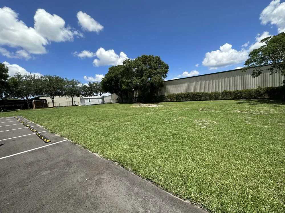 Expert yard cleanup service in Tampa, FL - Lawn&Care