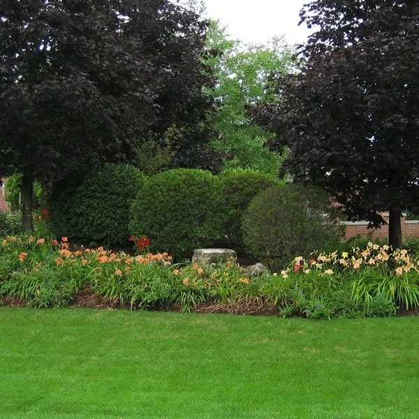 Trusted garden landscaping for beautiful yards across Machesney Park, IL - Lawncare Unlimited