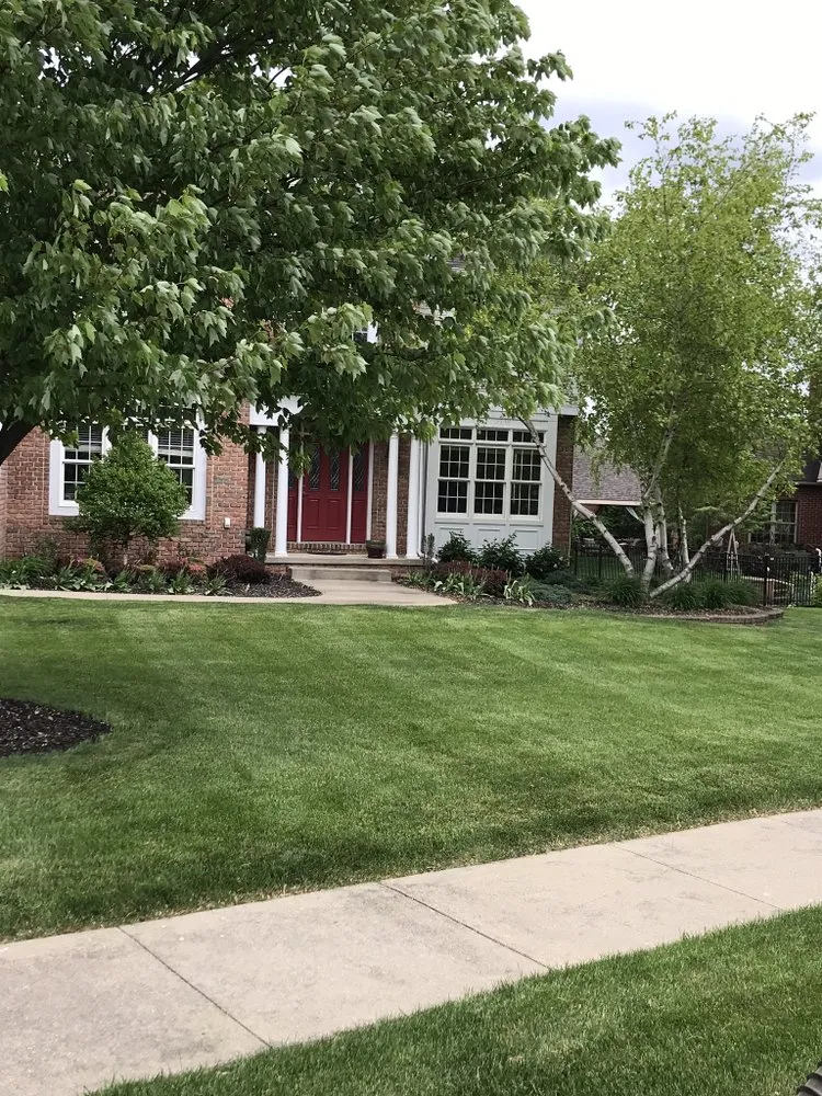 Affordable lawn care service experts serving Louisville, OH - Lawncare Veteran