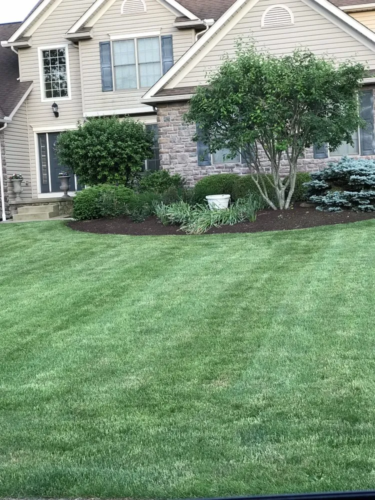 Custom landscape design in Louisville, OH - Lawncare Veteran