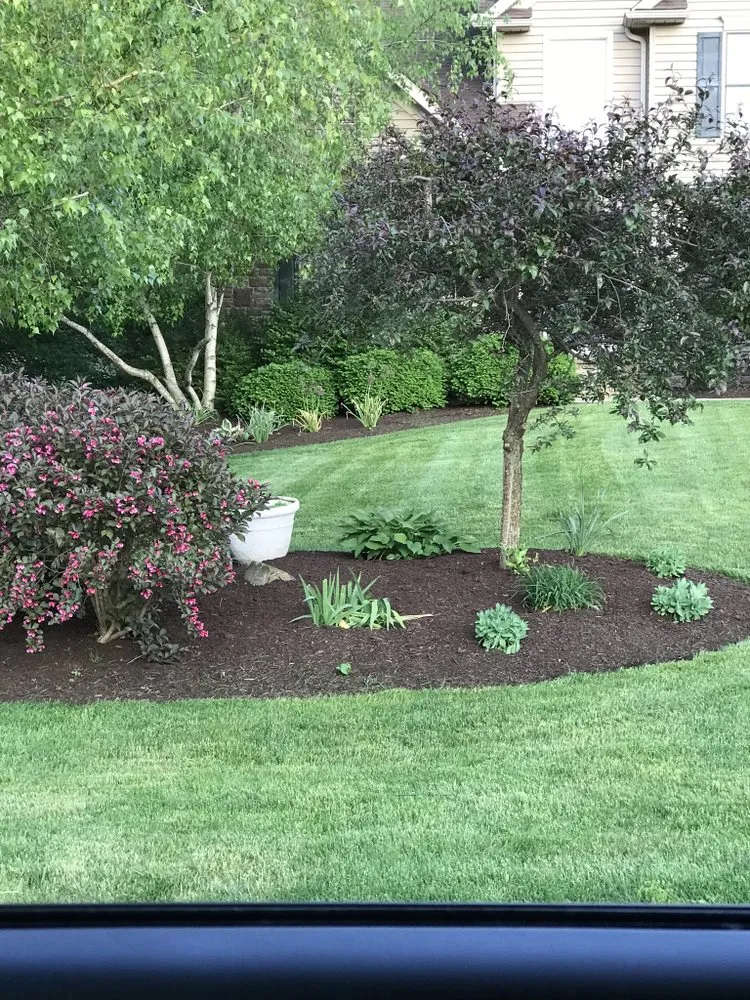 Local outdoor landscaping for residential properties in Louisville, OH by Lawncare Veteran