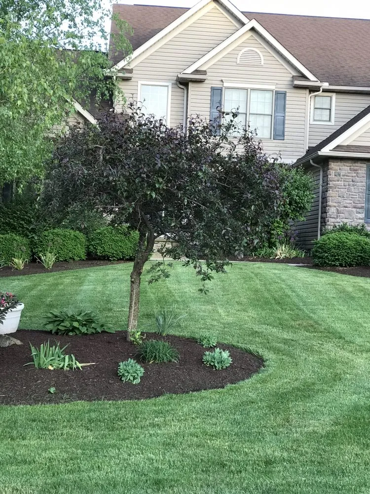 Local landscaping services experts serving Louisville, OH - Lawncare Veteran