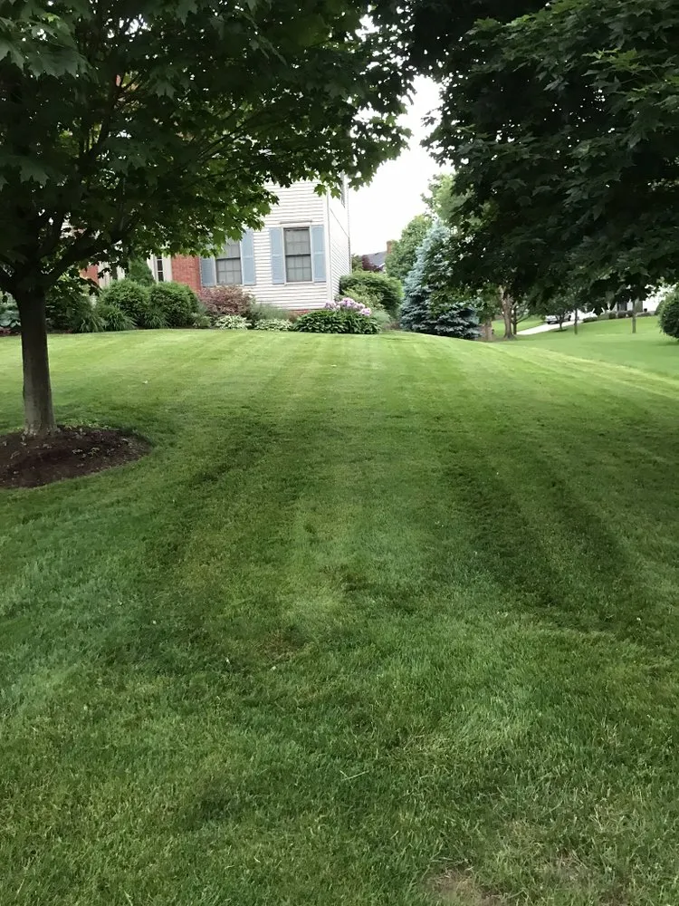Top-rated landscape design for year-round maintenance in Louisville, OH by Lawncare Veteran