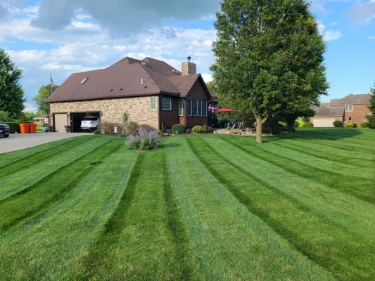 Lawncat Landcaping Logo