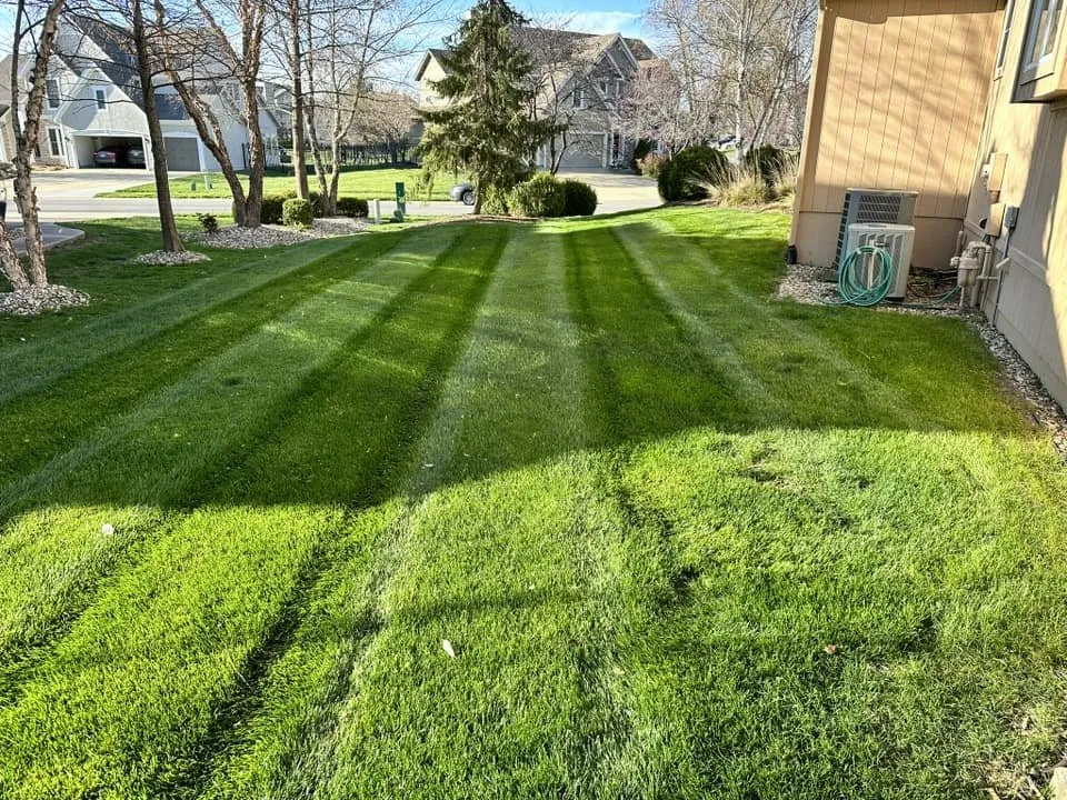 Expert landscape installation for beautiful yards in Richmond, KY by LawnCat