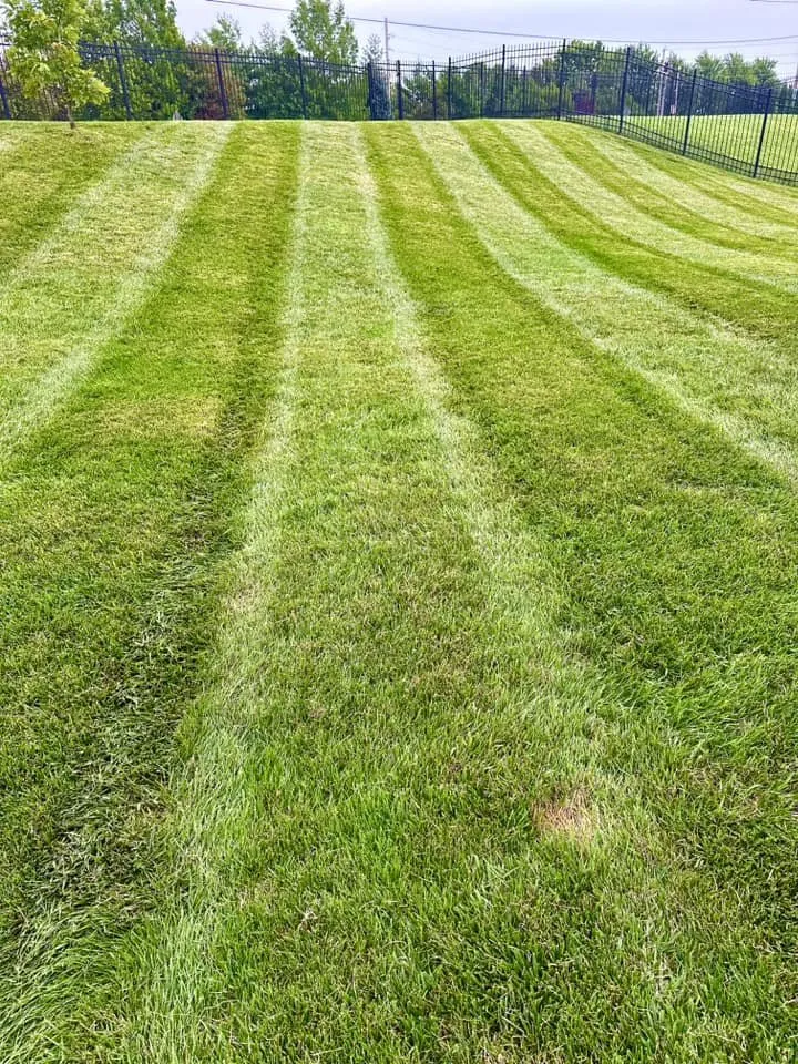 Local yard maintenance experts serving Richmond, KY - LawnCat