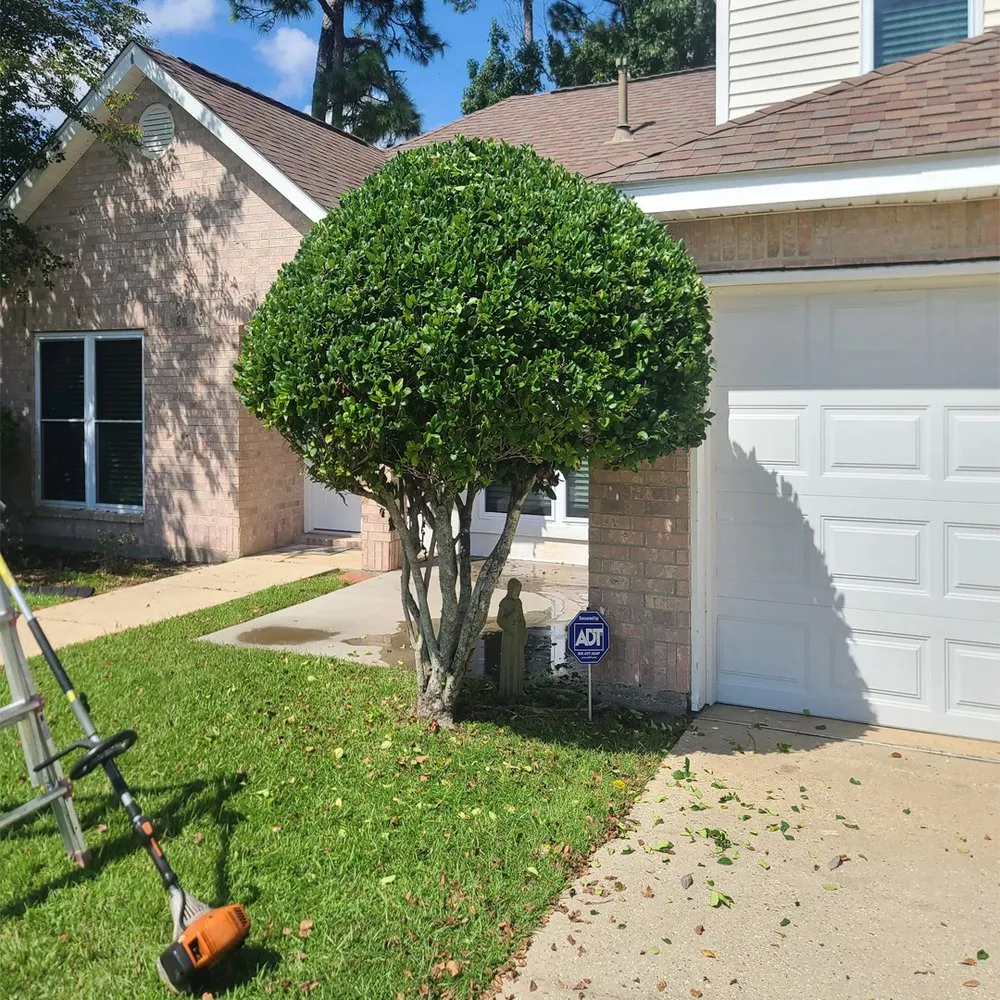 Reliable yard cleanup service experts serving Richmond, KY - LawnCat