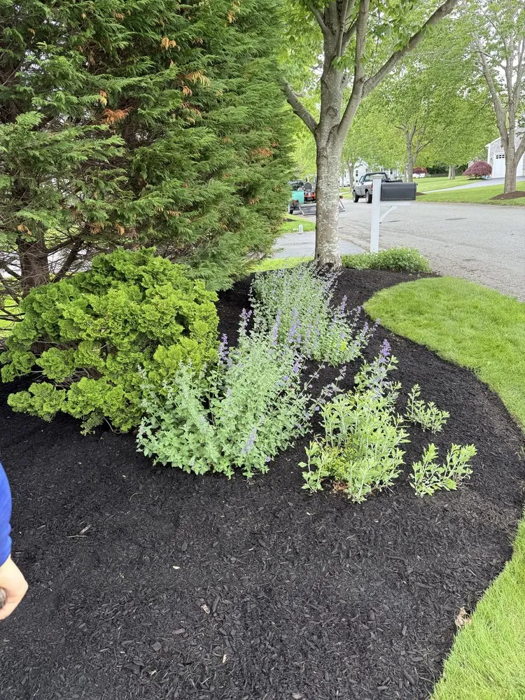 Trusted landscaping services in Bristol, RI by Lawncheck