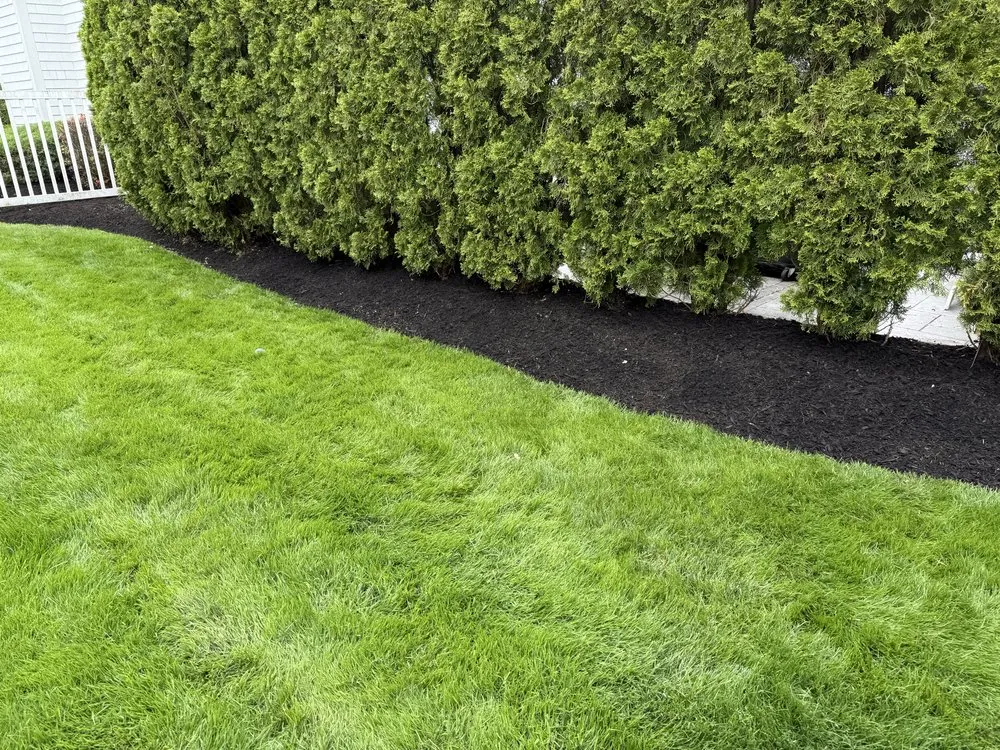 Trusted landscape design for residential properties across Bristol, RI - Lawncheck