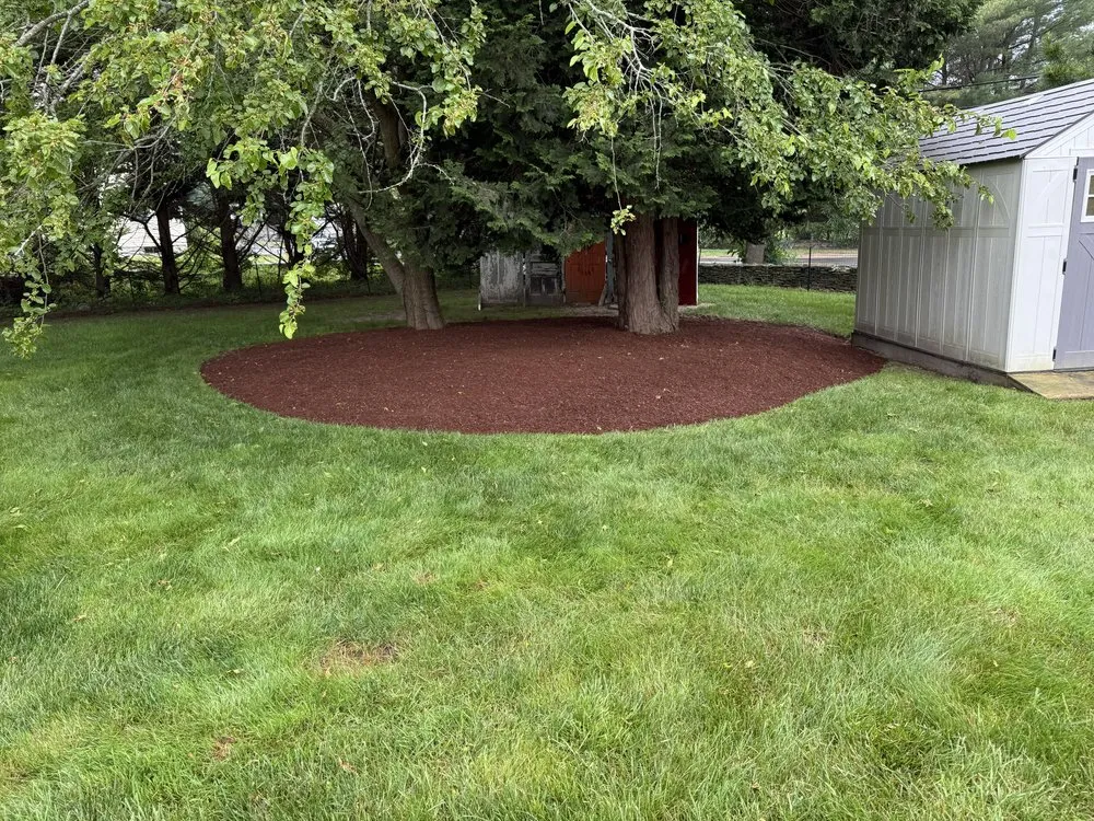 Trusted lawn mowing service experts serving Bristol, RI - Lawncheck