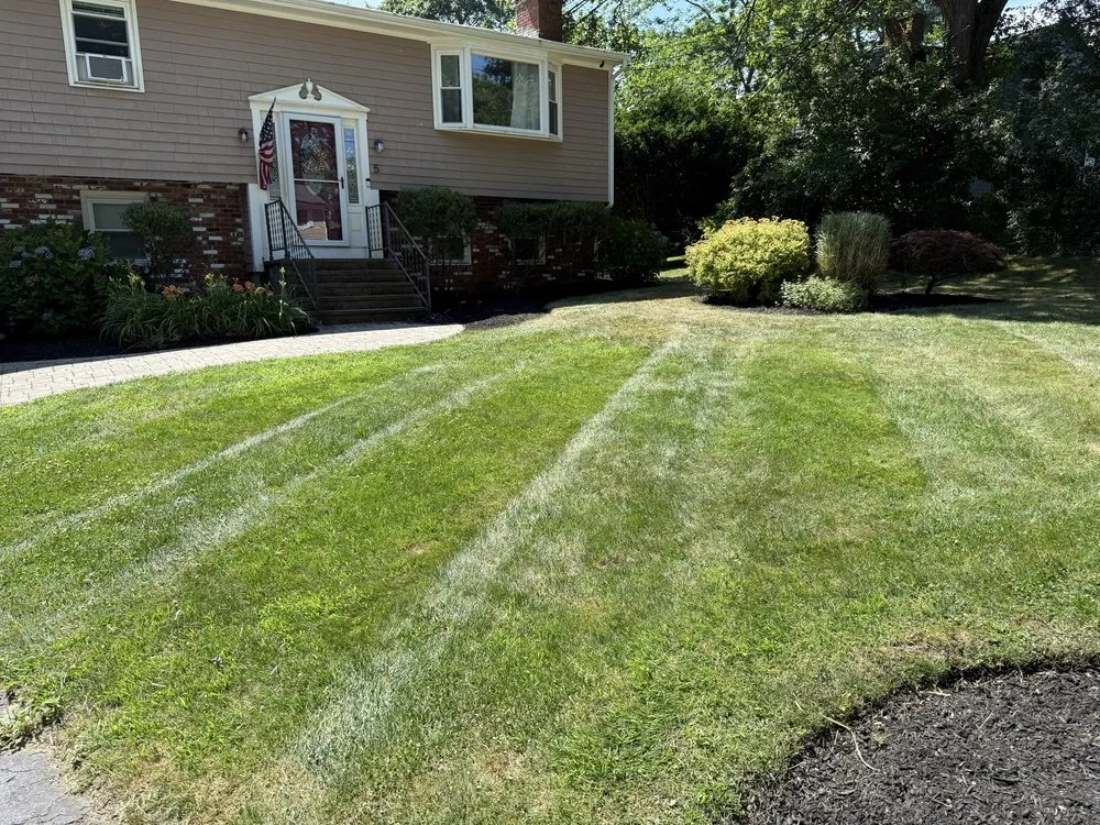 Custom yard maintenance in Bristol, RI by Lawncheck