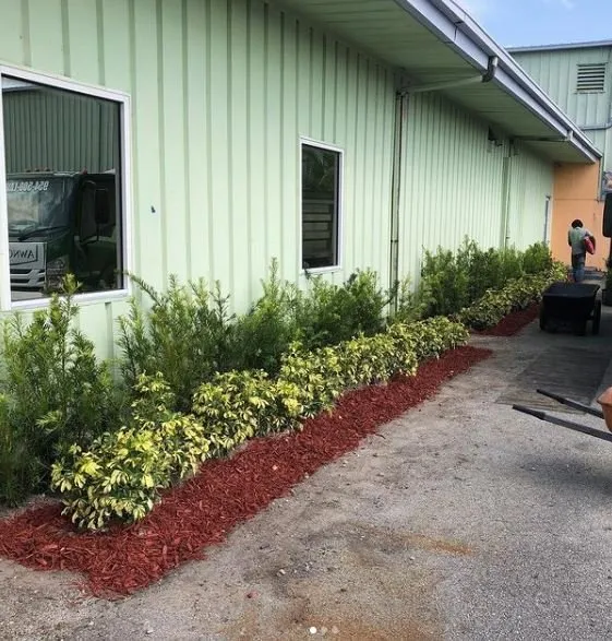 Top-rated landscape design experts serving Southwest Ranches, FL - Lawncierge