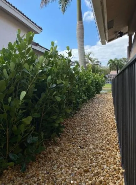 Expert landscaping services in Southwest Ranches, FL - Lawncierge