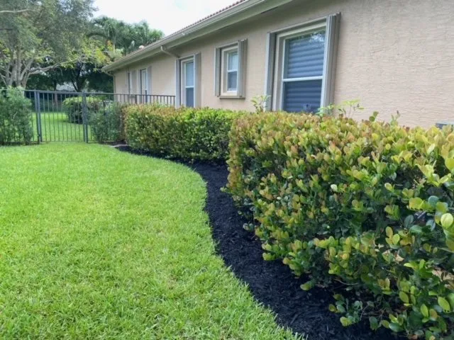 Reliable outdoor landscaping experts serving Southwest Ranches, FL - Lawncierge
