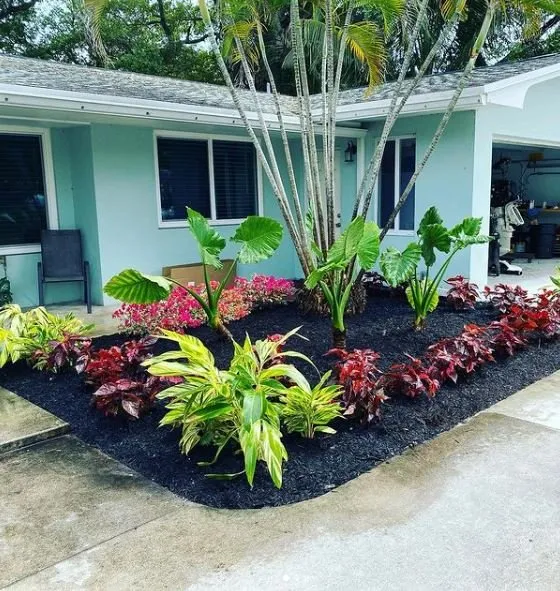 Local landscape design in Southwest Ranches, FL by Lawncierge