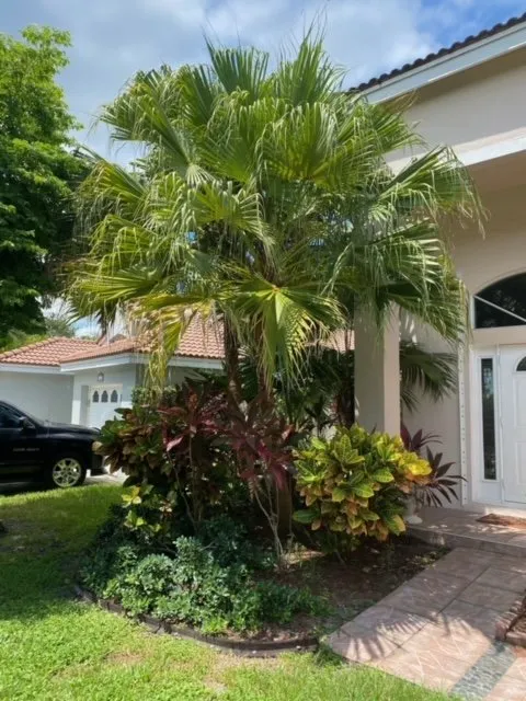 Reliable yard cleanup service near you in Southwest Ranches, FL by Lawncierge