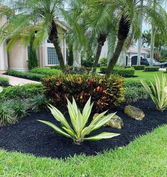 Professional yard cleanup service experts serving Southwest Ranches, FL - Lawncierge