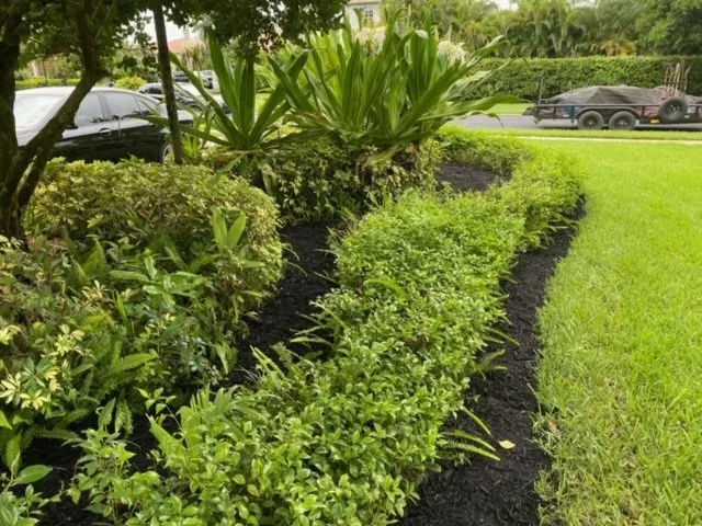 Professional lawn mowing service for residential properties in Southwest Ranches, FL by Lawncierge