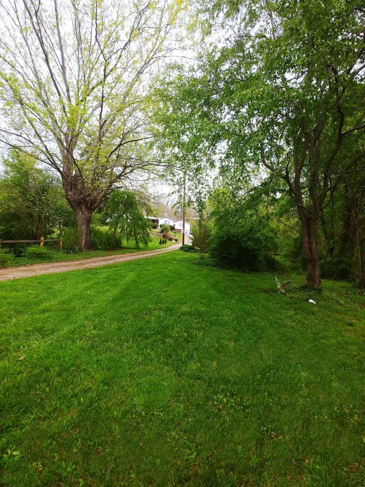 Trusted landscape design for beautiful yards in Candler, NC by LawnCo