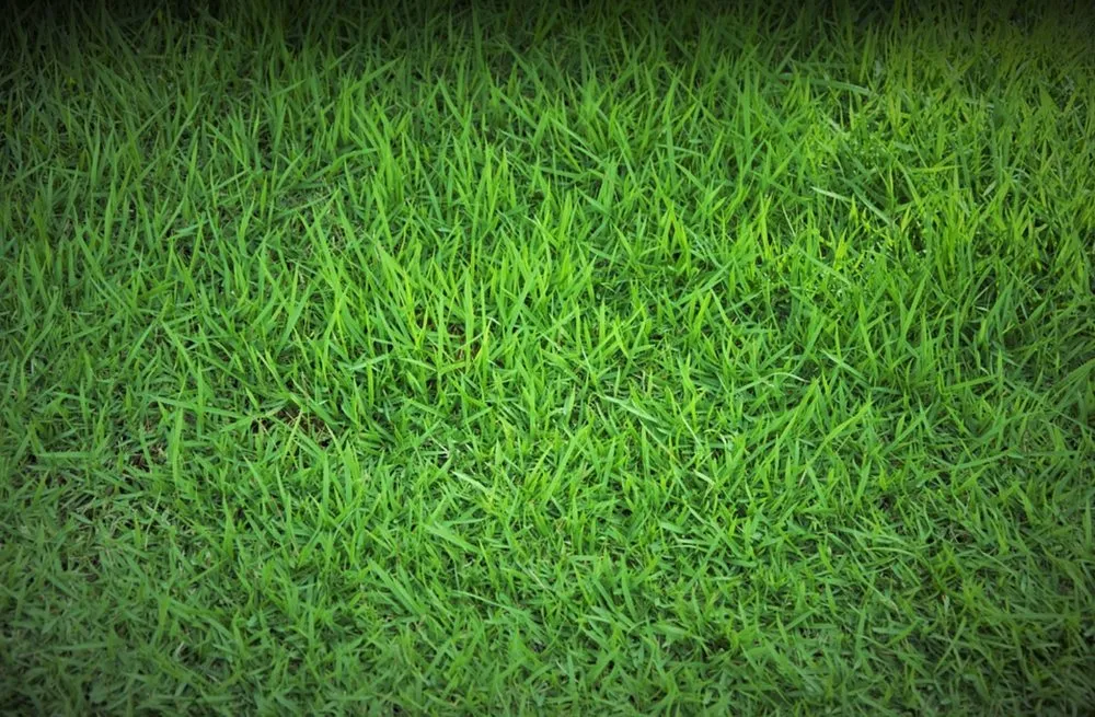 Professional residential landscaping experts serving Bellevue, NE - LawnCrafters