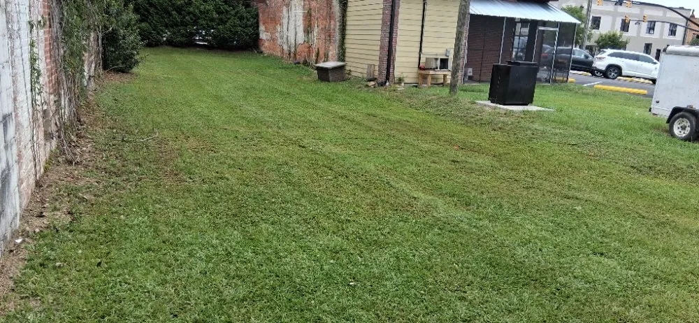 Top-rated landscape design for year-round maintenance in Rocky Mount, NC by LawnCutters