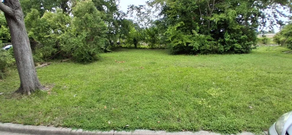 Trusted yard maintenance experts serving Rocky Mount, NC - LawnCutters