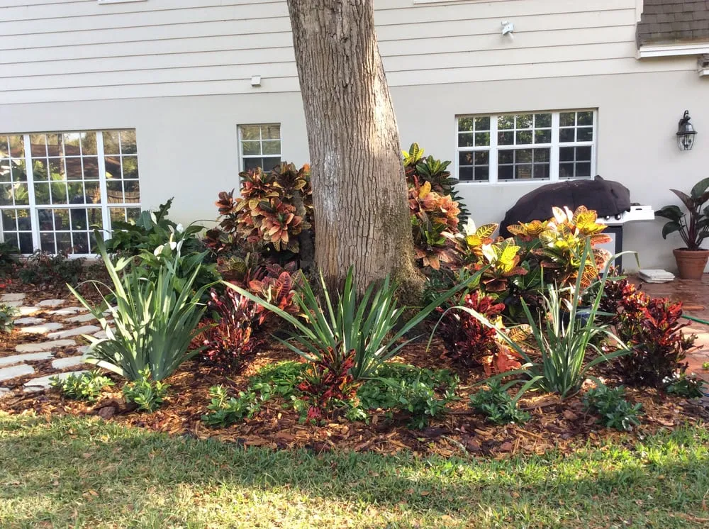 Top-rated yard maintenance in Vero Beach, FL by LawnDaddy
