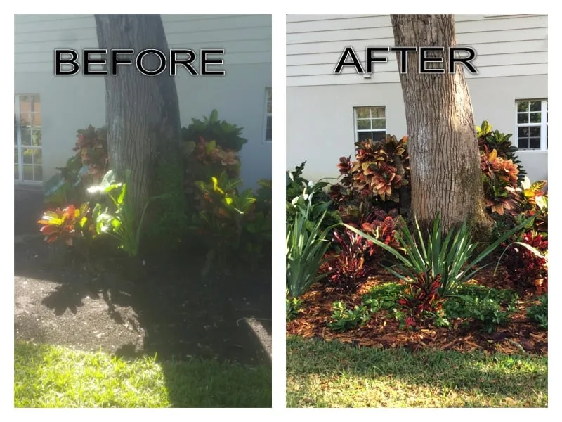 Affordable yard maintenance with custom design in Vero Beach, FL by LawnDaddy