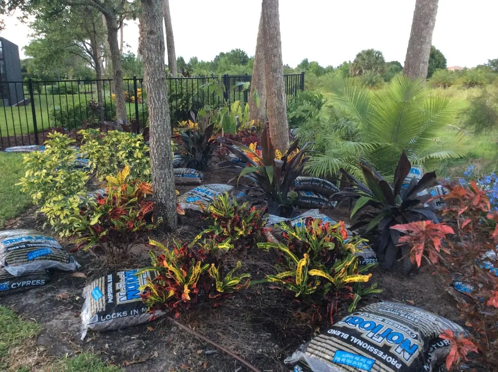 Affordable lawn mowing service experts serving Vero Beach, FL - LawnDaddy