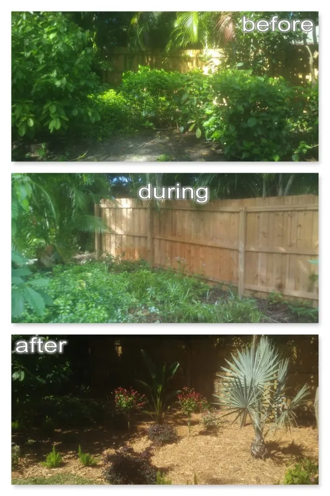 Affordable yard cleanup service in Vero Beach, FL by LawnDaddy