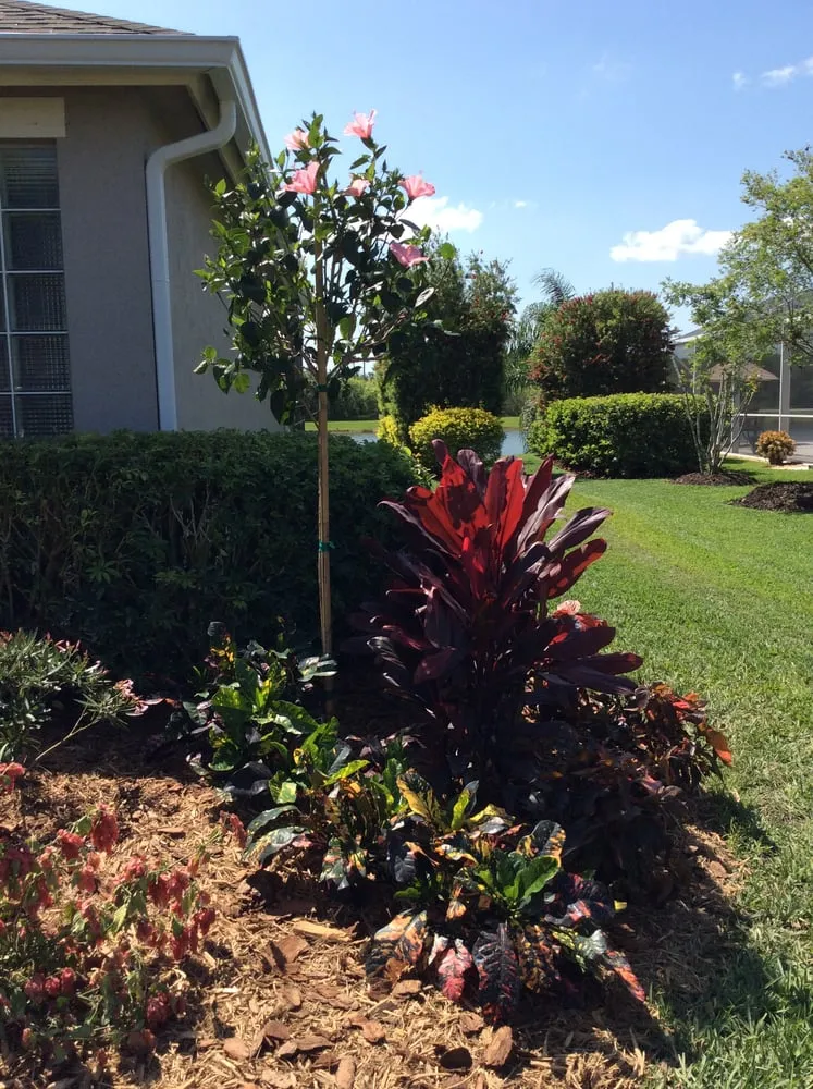 Local lawn mowing service for outdoor upgrades across Vero Beach, FL - LawnDaddy