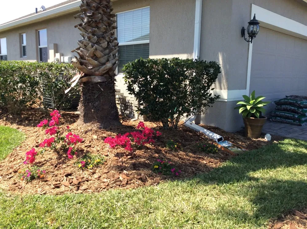 Professional yard maintenance in Vero Beach, FL - LawnDaddy
