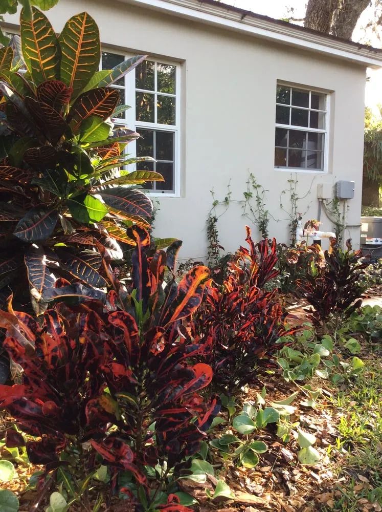 Expert landscape installation experts serving Vero Beach, FL - LawnDaddy