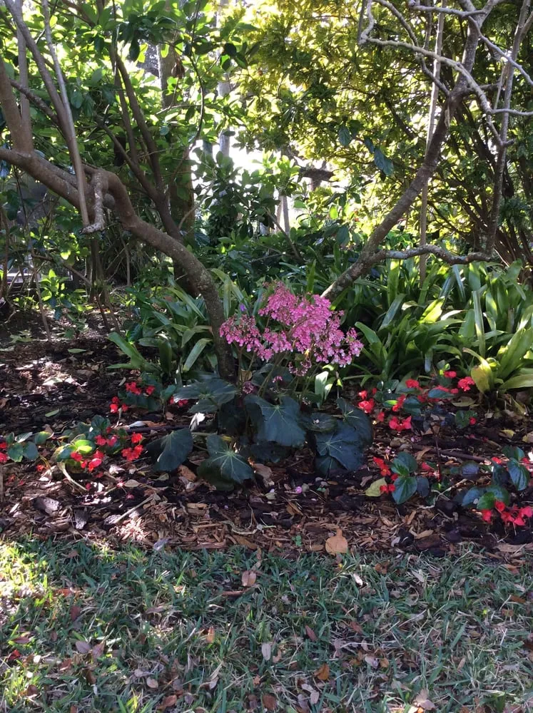 Local landscape installation for outdoor upgrades in Vero Beach, FL by LawnDaddy