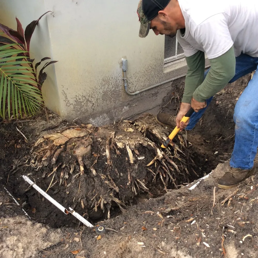 Professional yard maintenance experts serving Vero Beach, FL - LawnDaddy