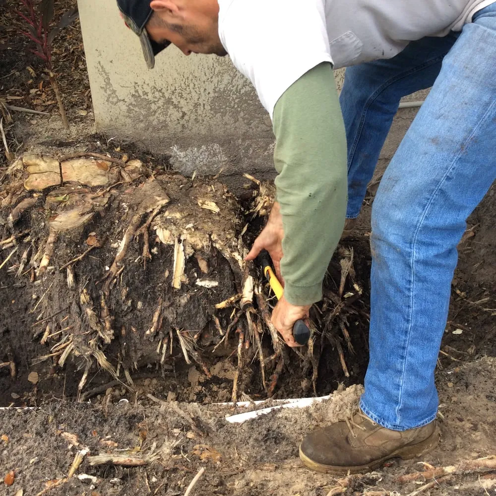 Top-rated landscaping services in Vero Beach, FL by LawnDaddy