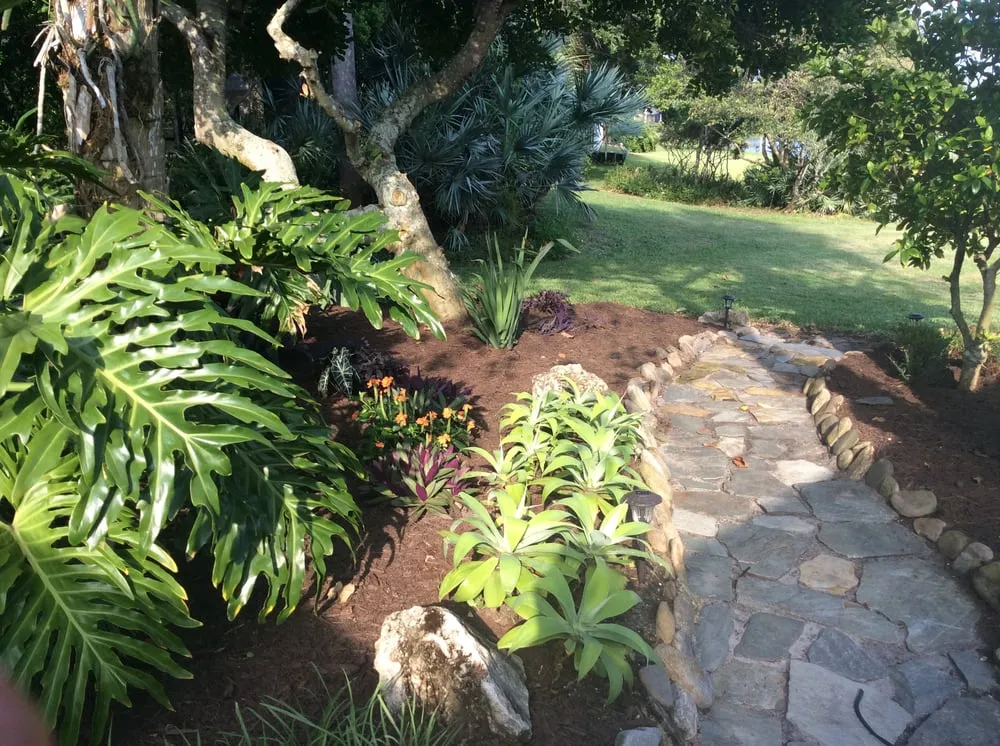 Professional lawn care service experts serving Vero Beach, FL - LawnDaddy