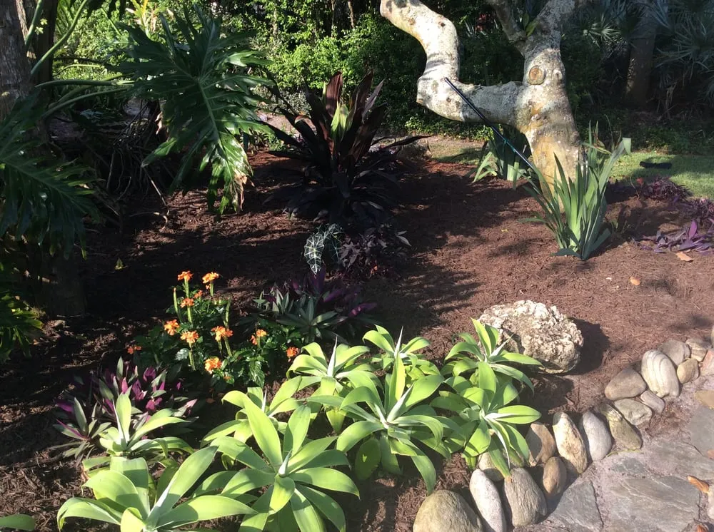 Custom yard maintenance in Vero Beach, FL by LawnDaddy