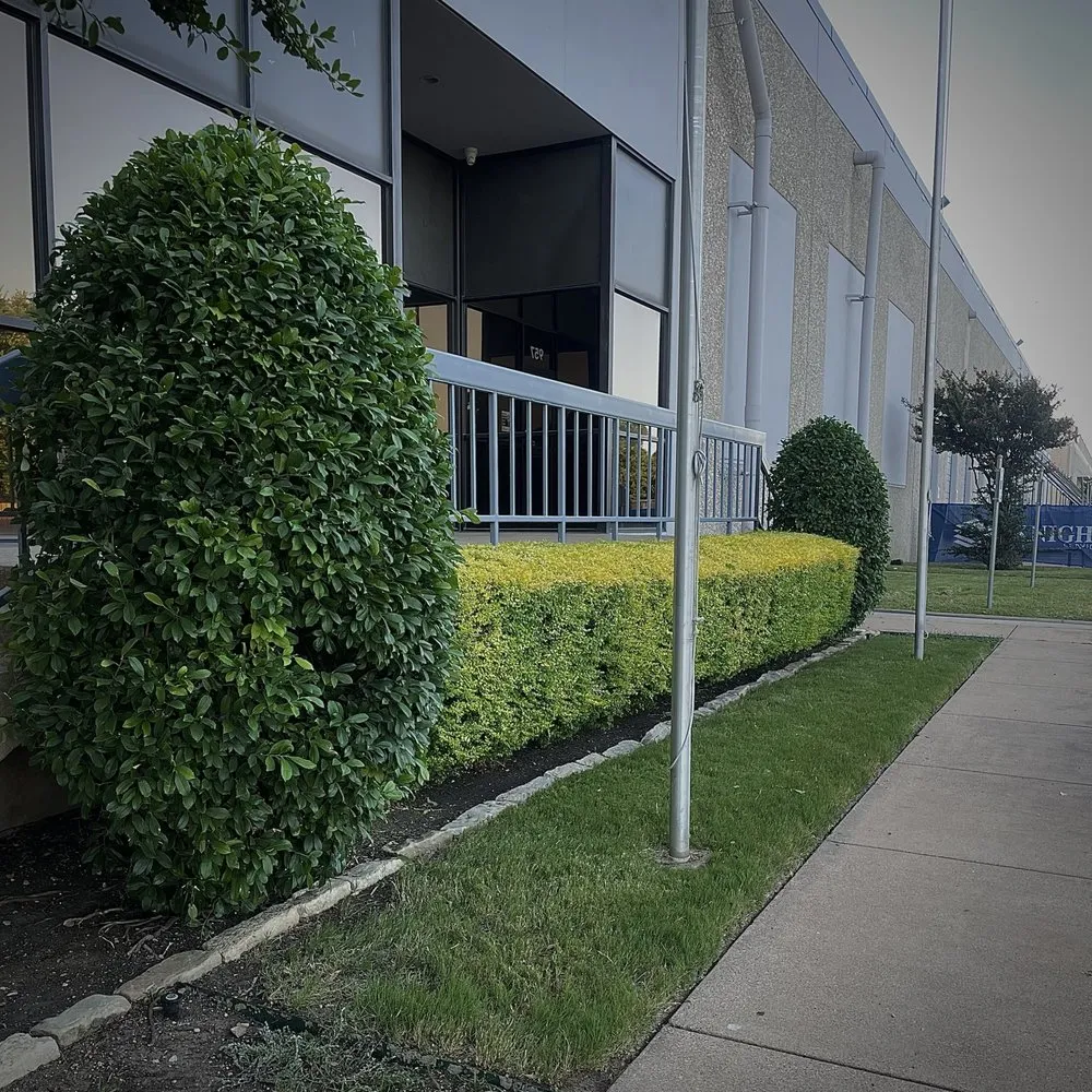 Local lawn care service in Arlington, TX by LawnDays