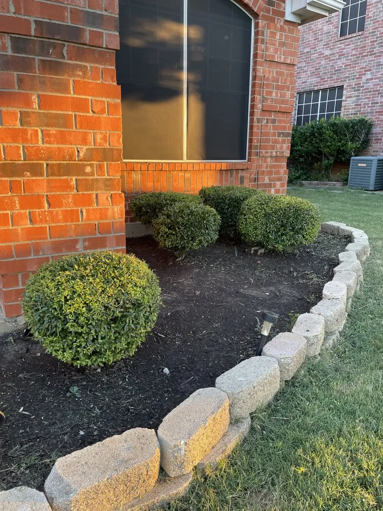 Professional landscape design for homes across Arlington, TX - LawnDays