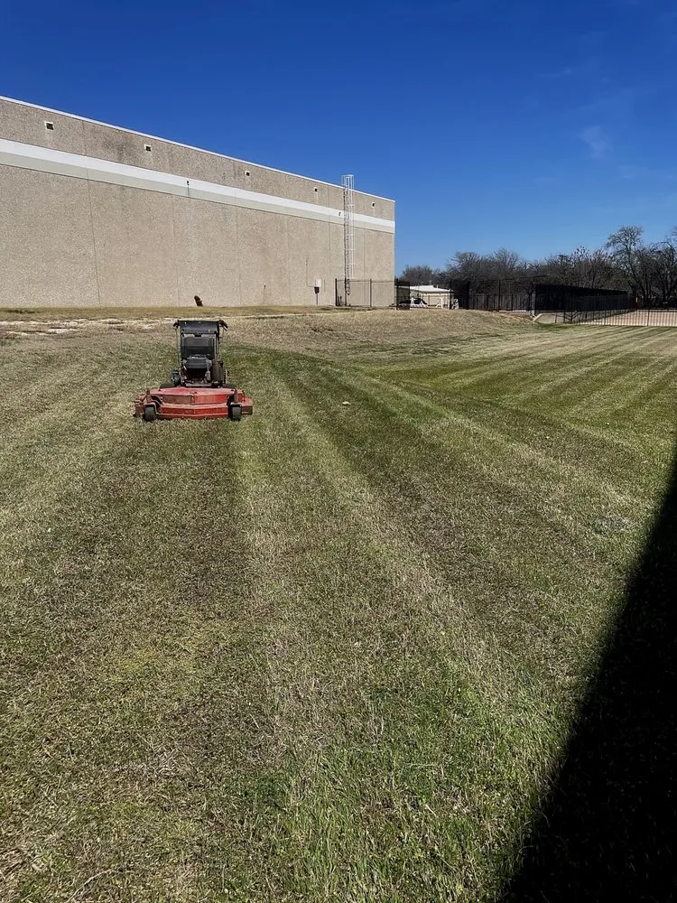 Affordable landscape installation in Arlington, TX - LawnDays