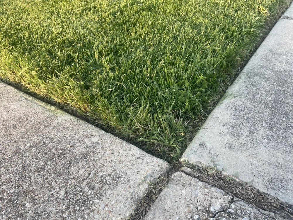 Top-rated yard cleanup service near you in Arlington, TX by LawnDays